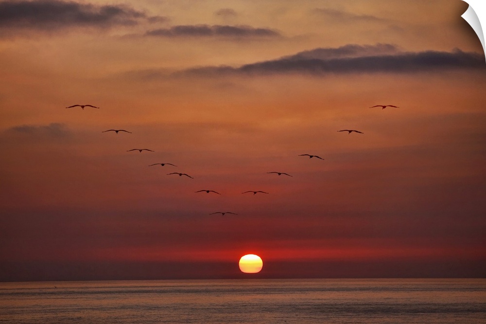 Big landscape photograph of birds flying in a vibrant, cloudy sky, over the ocean in a v shape, pointed toward the setting...