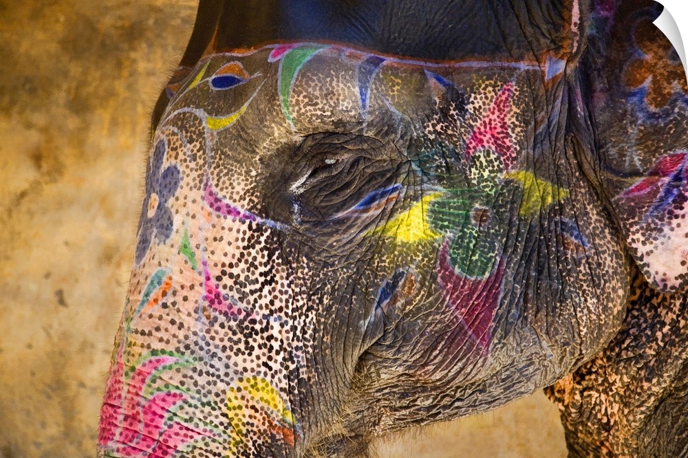 This photograph of an elephant in India is painted beautifully with vibrant colors and flowers.
