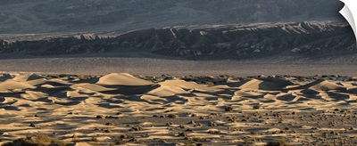 Panorama of the Mesquite Sand Dunes at Death Valley National Park