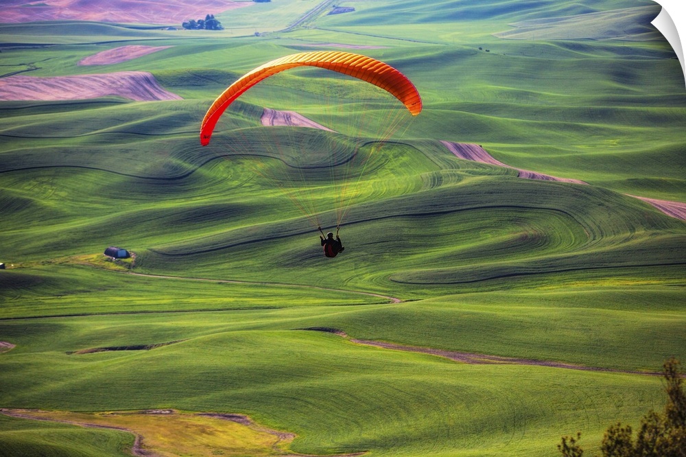 Paraglider above green the wheat fields in the Palouse