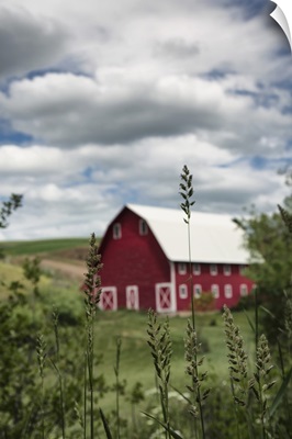 Red barn and green wheat fields in the Palouse region of Washington