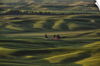 Red barn in the rolling wheat fields of the Palouse