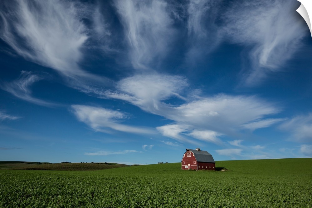 Red barn in wheat fields of the Palouse.