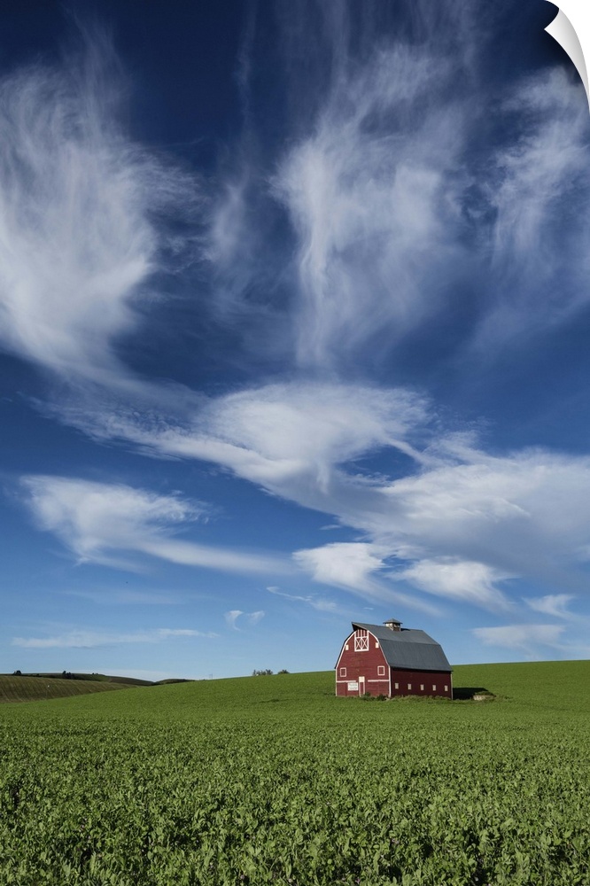 Red barn in wheat fields of the Palouse.