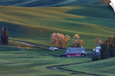 Rolling hills and barns in the Palouse region of Washington State