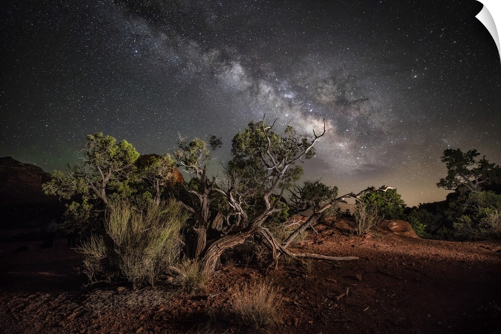 Milky Way in the red rocks of Sedona, Arizona.