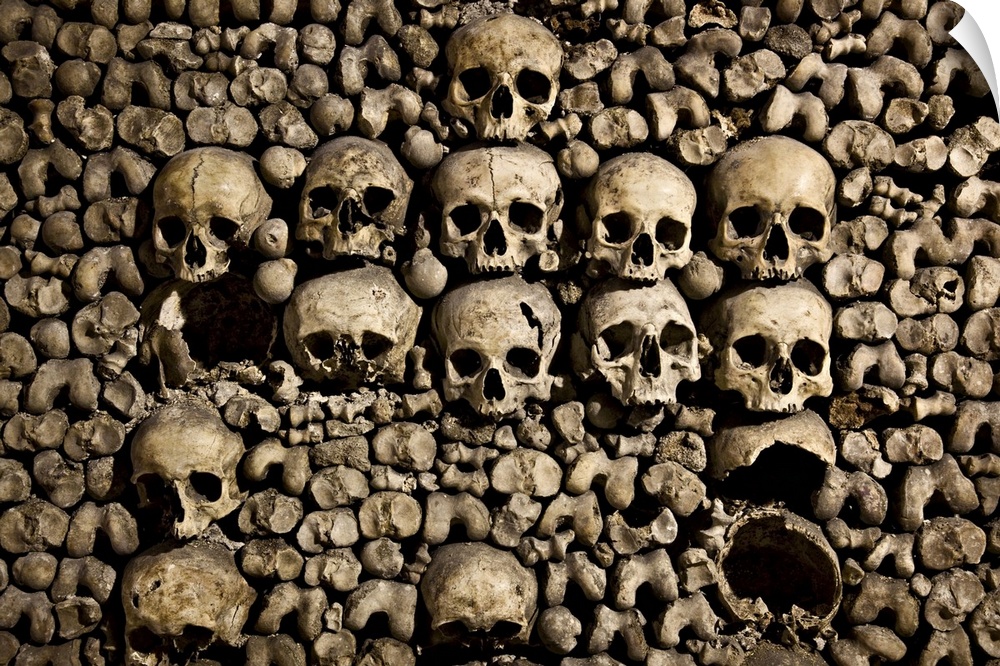 Skulls in the Catacombs beneath the city of Paris