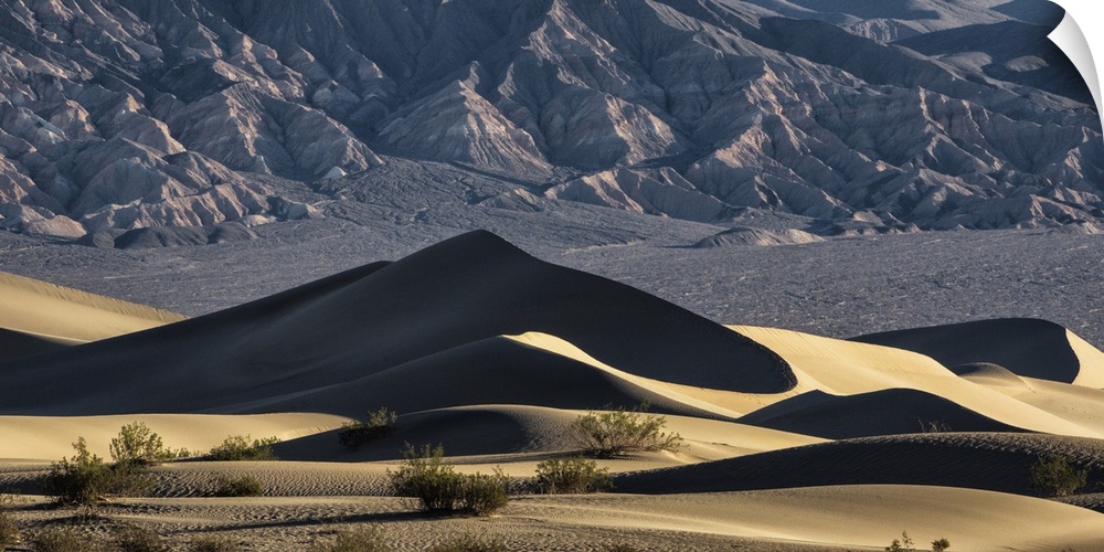 The amazing Mesquite Sand Dunes at Death Valley National Park
