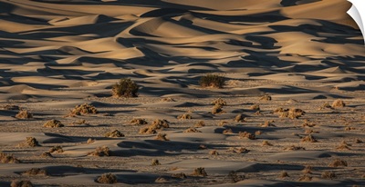 The Amazing Mesquite Sand Dunes At Death Valley National Park