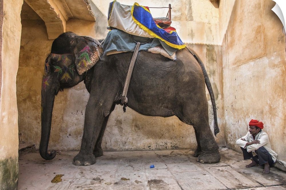 The painted elephants in Jaipur, India.