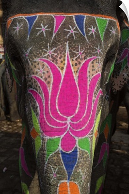 The painted elephants in Jaipur, India