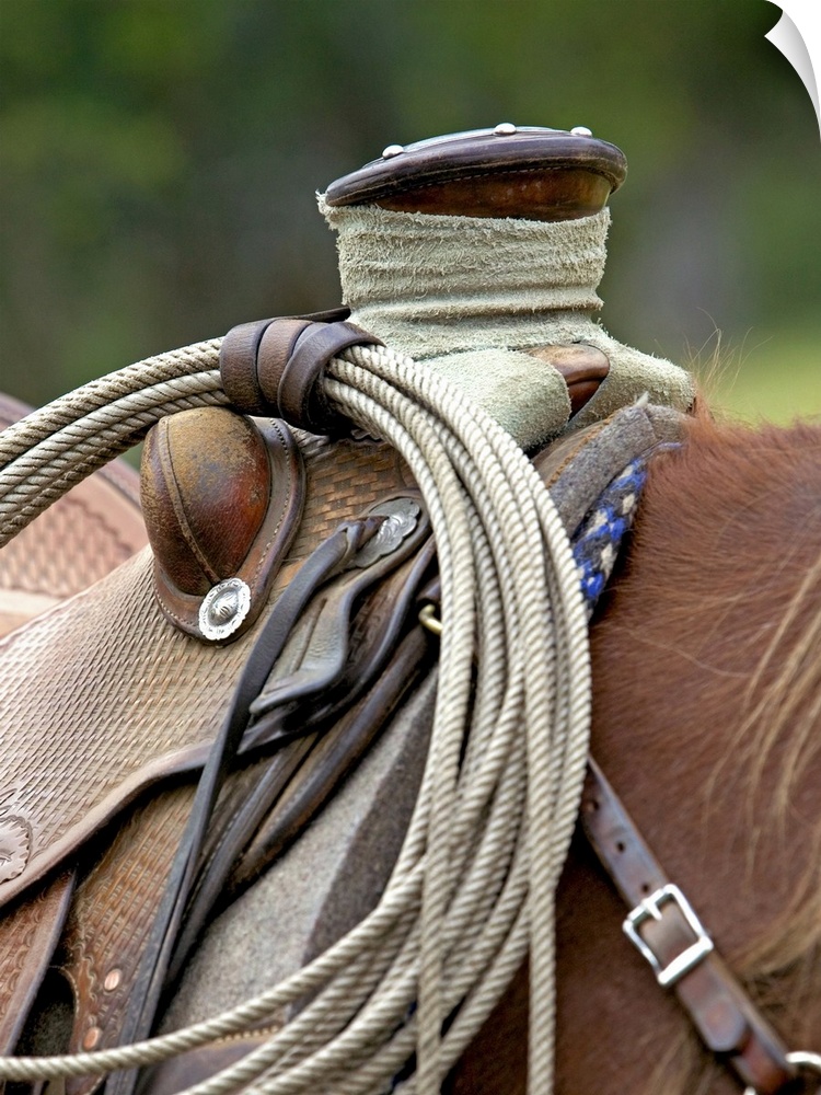 Wall art of the up close view of a saddle on a horse.
