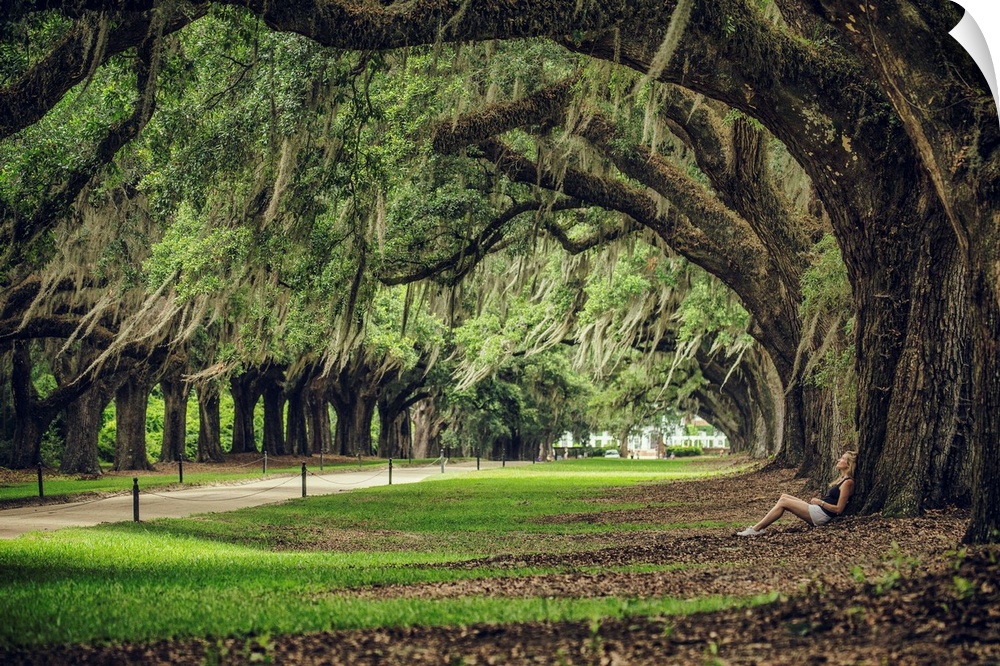 Woman leaning against a huge Oak tree at Boone Plantation, South Carolina.