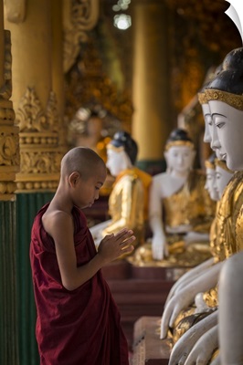 Young Burmese monk praying with buddhas in Shwedagon Pagoda