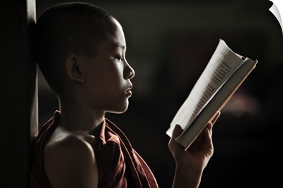 Young monk reading in his monastery, Bagan, Burma
