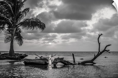BW sunset in Belize