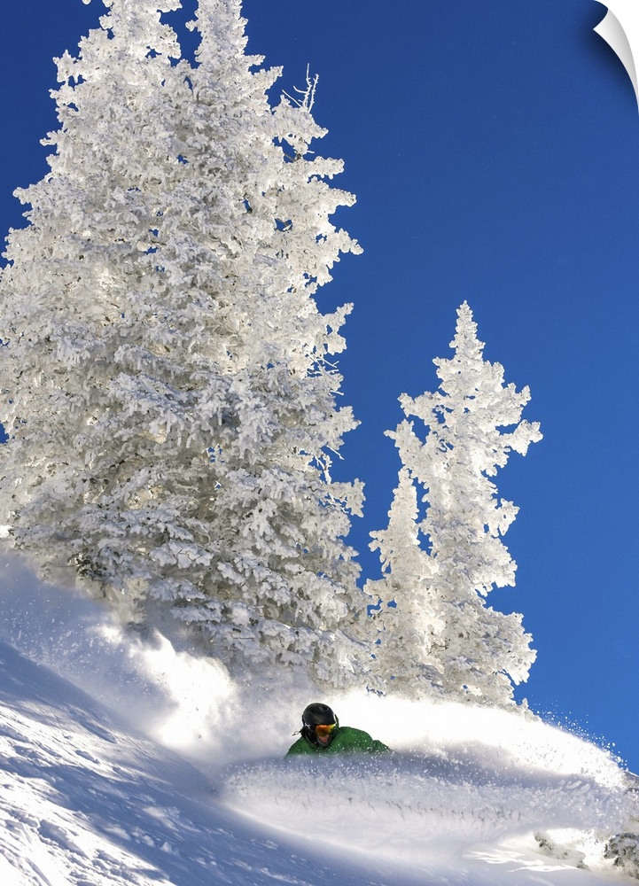 Action shot of a snowboarding carving down the Wasatch Range in Utah.