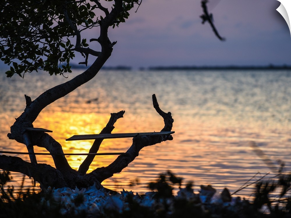 Driftwood silhouetted on the beach at sunset in Belize, 2016.