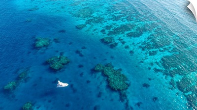 On the great barrier reef Australia