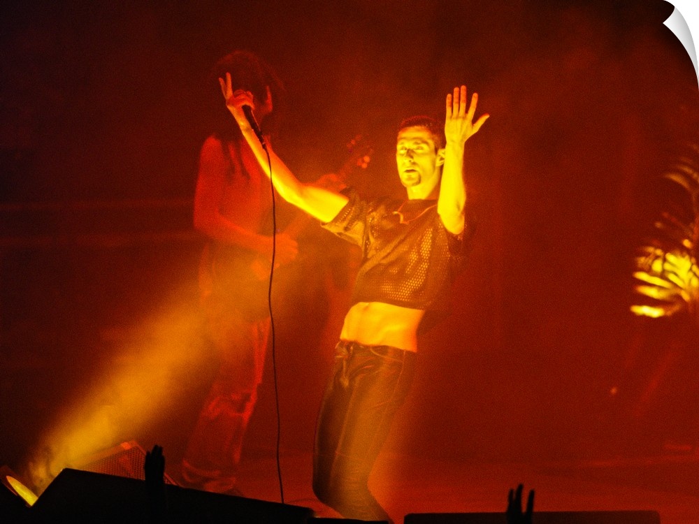 Perry Farrell, lead vocalist of rock band Jane's Addiction, performing at Lalapallooza.