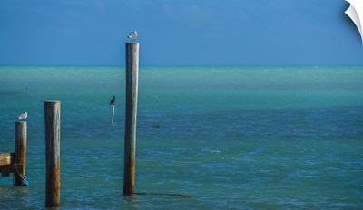 The calm water of Islamorada Florida