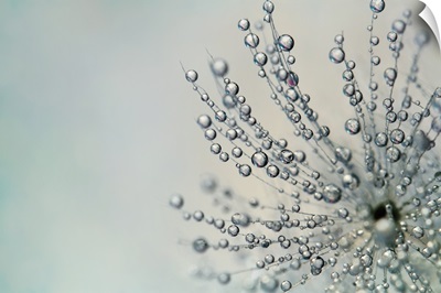 Fairy Dust Droplets