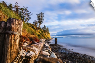 A Rustic Jumbled Beach Scene On Whidbey Island, Washington