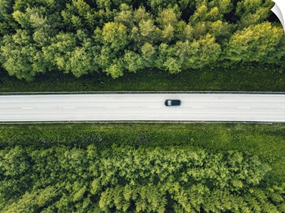 Aerial View Of Green Summer Forest With A Road Captured From Above With Drone