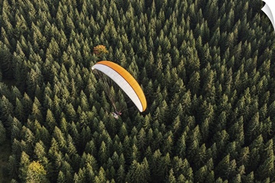 Aerial View Of Paramotor Flying Over The Forest In Poland