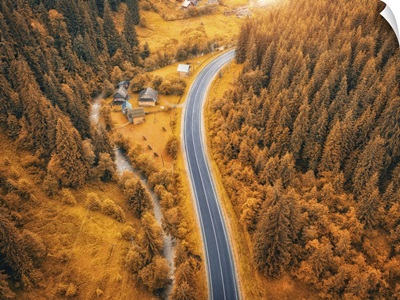 Aerial View Of Road In Beautiful Orange Forest At Sunset In Autumn, Carpathian Mountains