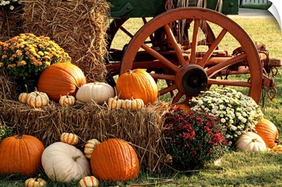 Autumn Pumpkins and Mum Display