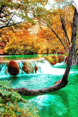 Autumn Scene, Croatia