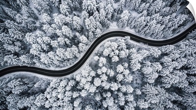 Curvy Windy Road In Snow Covered Forest