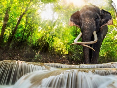 Erawan Waterfall With An Elephant