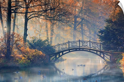Old bridge in misty park at autumn