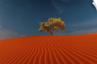 Rippled Sand Dunes And Tree Growing Under Blue Sky In Desert