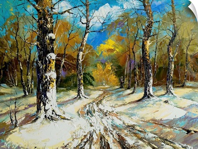 Road to a Winter Forest