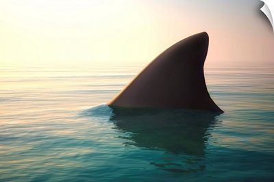 Shark fin above ocean water