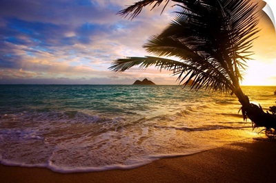 Sunrise At Lanikai Beach In Hawaii