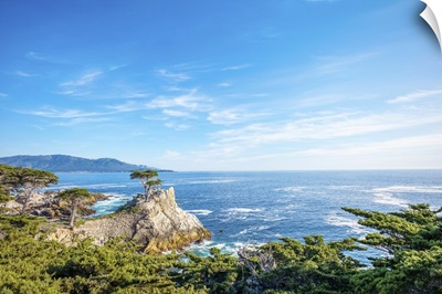 The Lone Cypress, Seen From The 17 Mile Drive, Pebble Beach, California