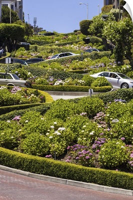 View Of Lombard Street, The Crookedest Street In The World, San Francisco, California