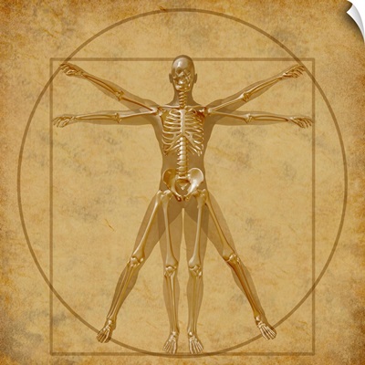 Vitruvian Skeleton