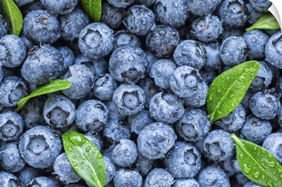 Water Drops On Fresh Ripe Sweet Blueberries