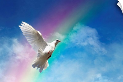 White dove against clouds and rainbow