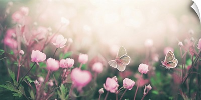 Wild Pink Flowers And Two Fluttering Butterflies Bathed In Sunlight In Nature