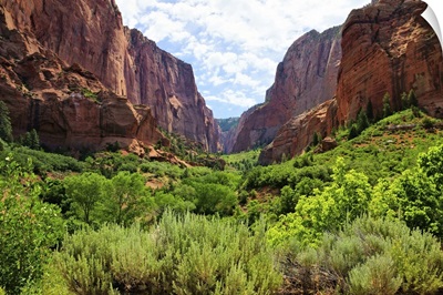Zion National Park, View Through The Red Cliffs Of Kolob Canyon