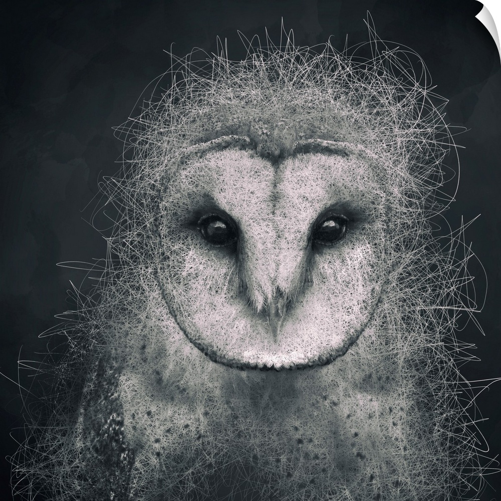 Abstract depiction of an owl with lines, texture, black, white and grey.