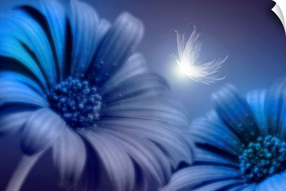 Mixed media artwork of an up-close shot of two daisies with a glowing butterfly.