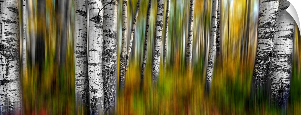 A two image abstract of a colorful fall forest with intentional motion blur.