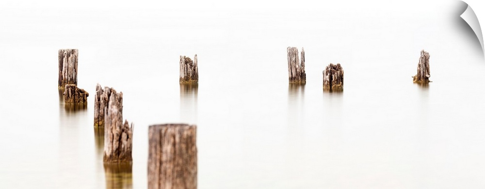Abandoned dock pilings along Okanagan Lake, Canada creating a minimalist image.